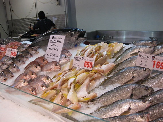 fishmarket.JPG